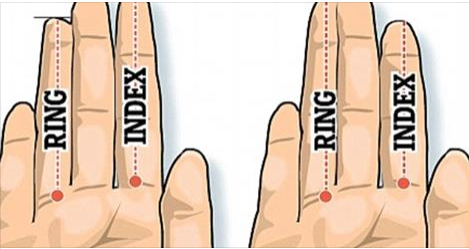 Размер пальцев